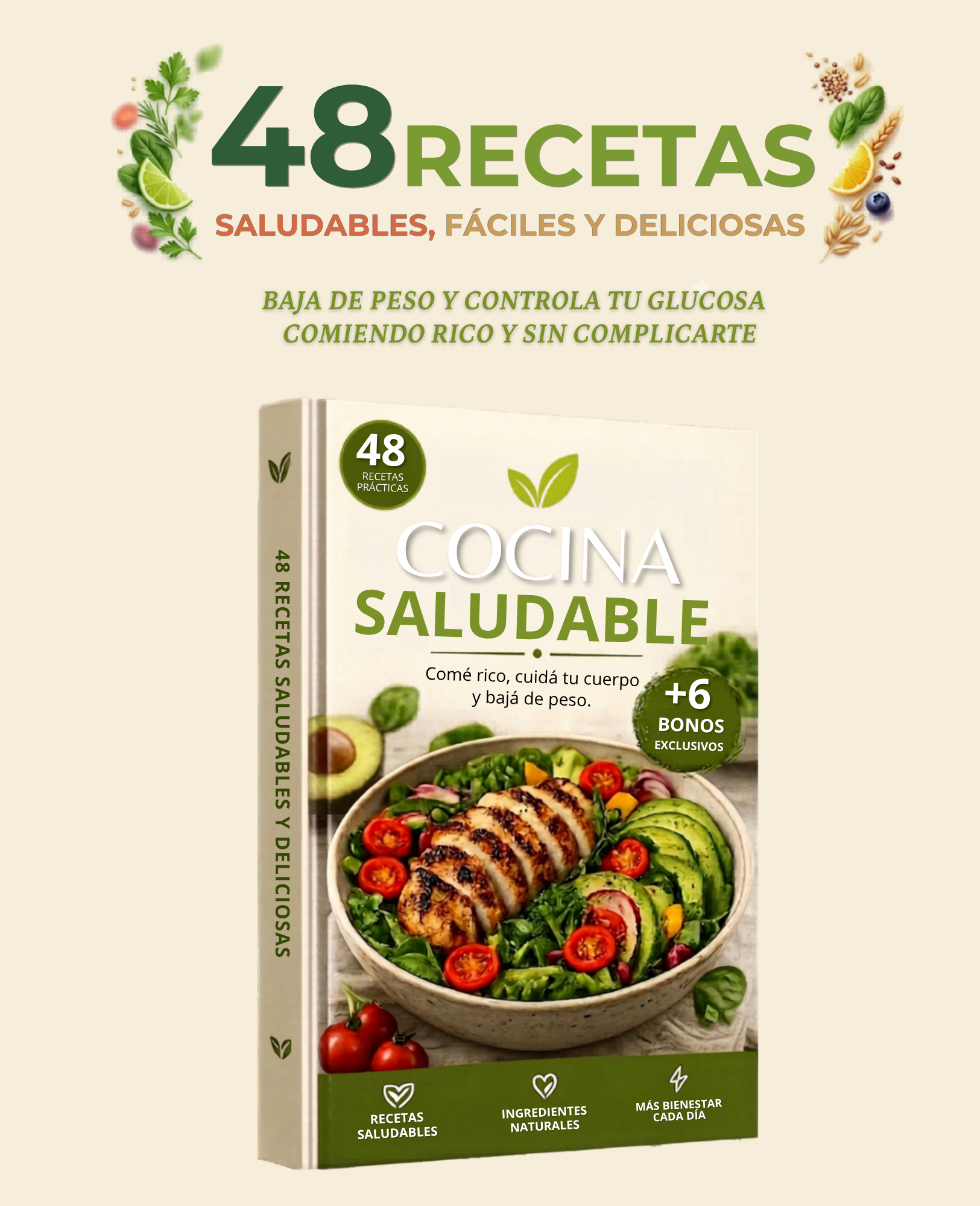 48 Recetas Saludables